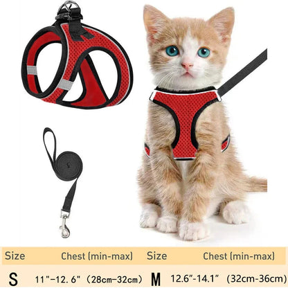 Pet Harness & Leash: Escape-Proof Adjustable, Reflective Soft Mesh for Outdoor