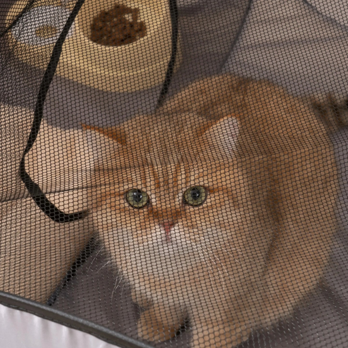 Square Gray Cat Delivery Room Hard Oxford Cloth with a Play Tunnel Foldable