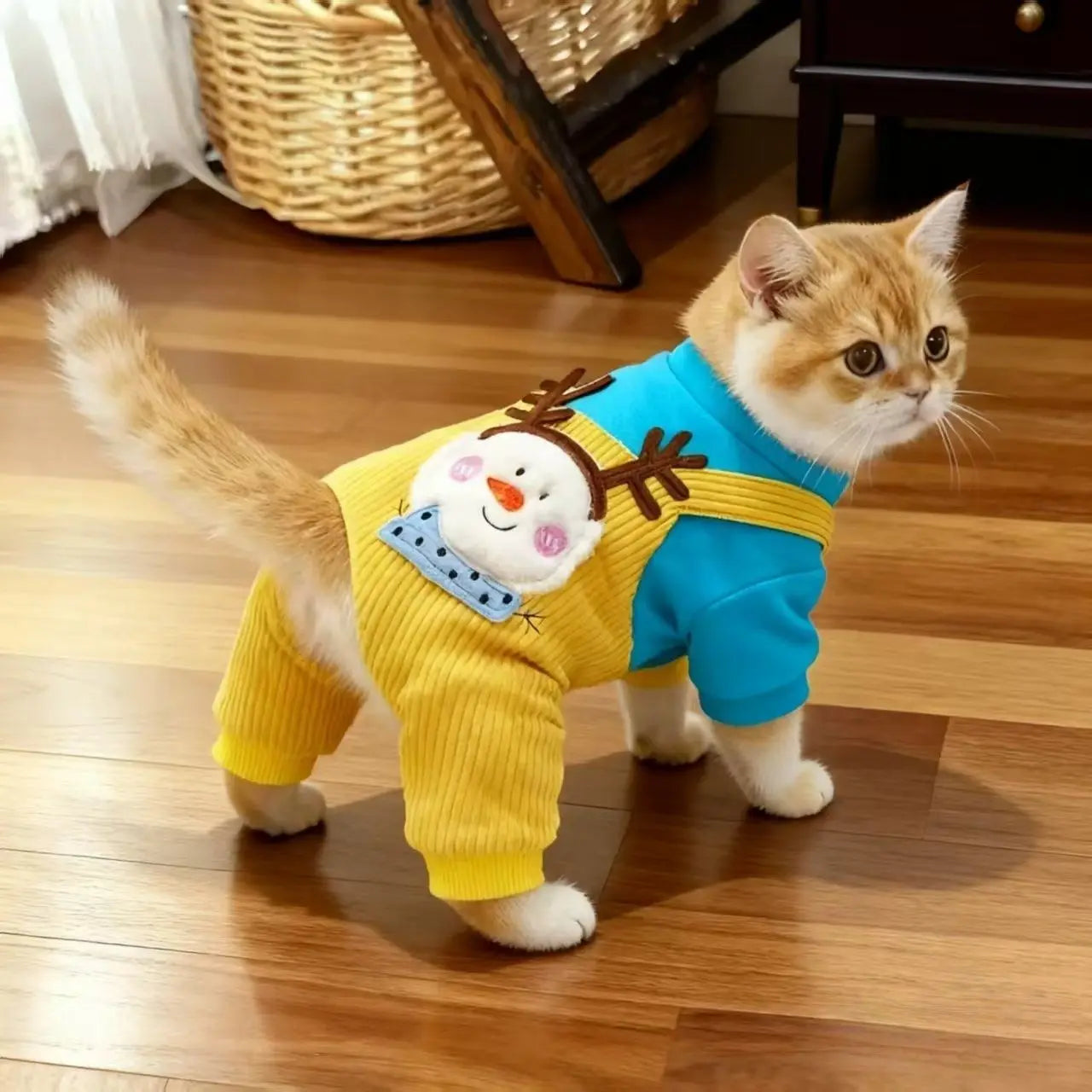 Cat Clothing for Winter