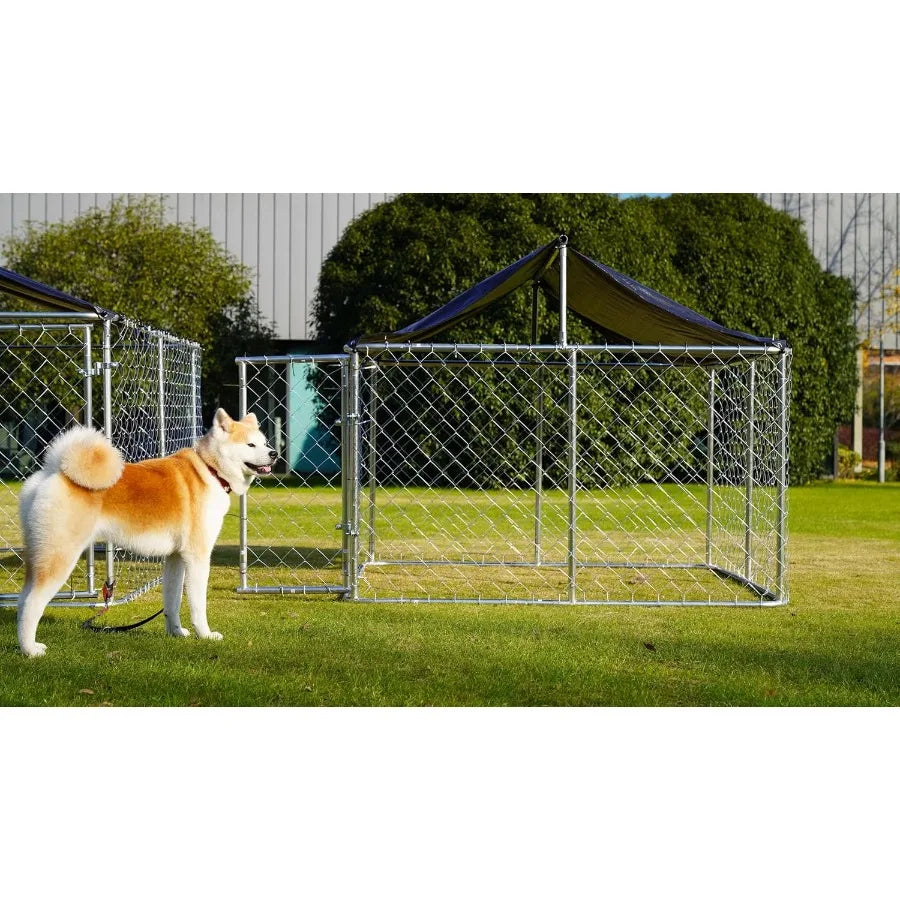 80x 80 Outdoor Dog Enclosure