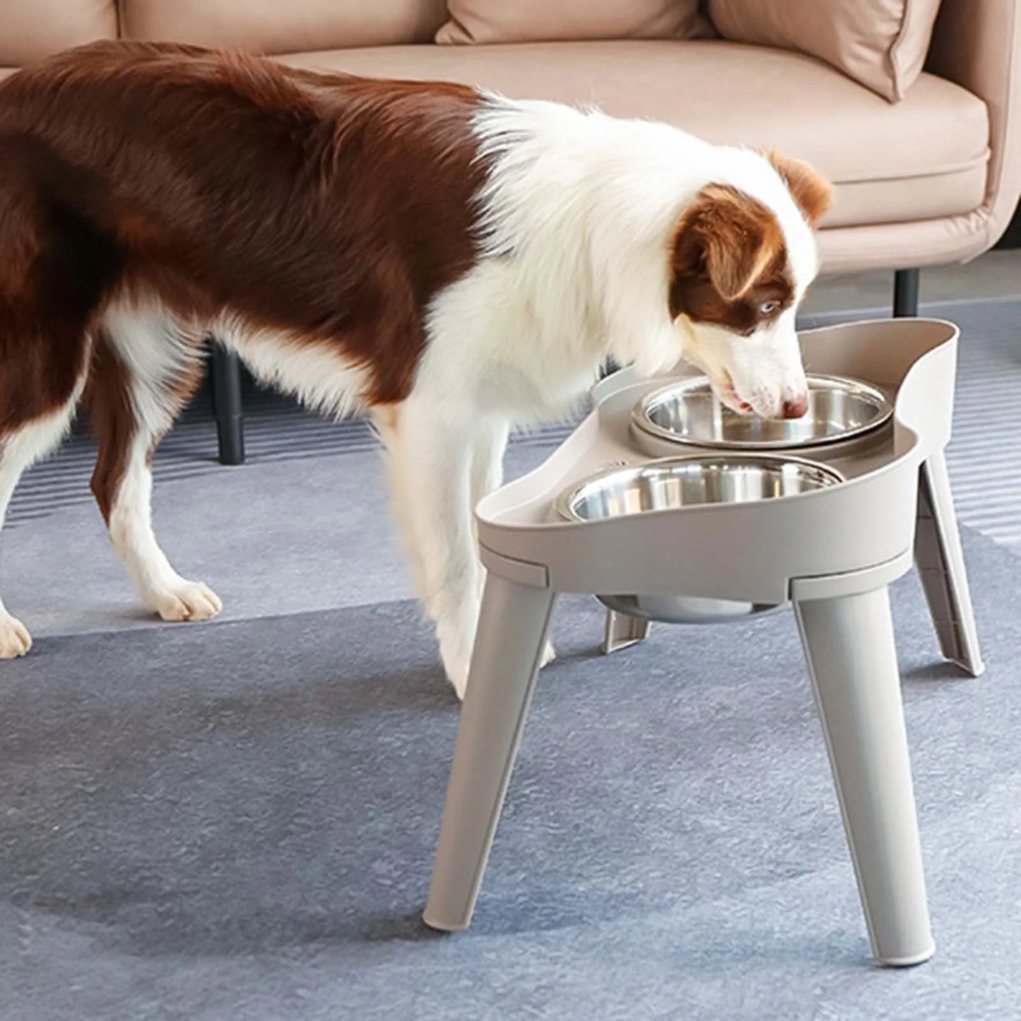Raised Stand Elevated Dog Feeder Non-Slip and No Spill Design, Suitable for Improve Posture and Comfort