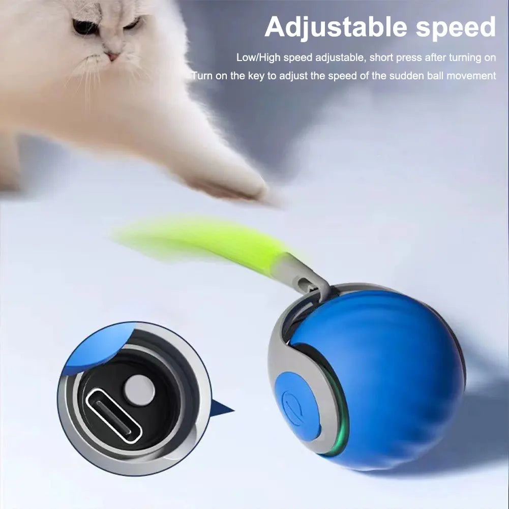 Smart Toy Ball Interactive, Rechargeable