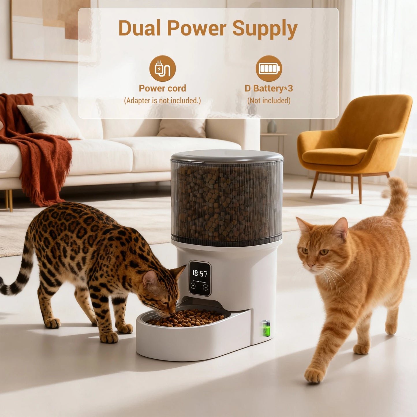 Programmable 4L Automatic Pet Feeder for Small Dogs & Cats, Up to 6 Meals Daily, Timer/Portion Control