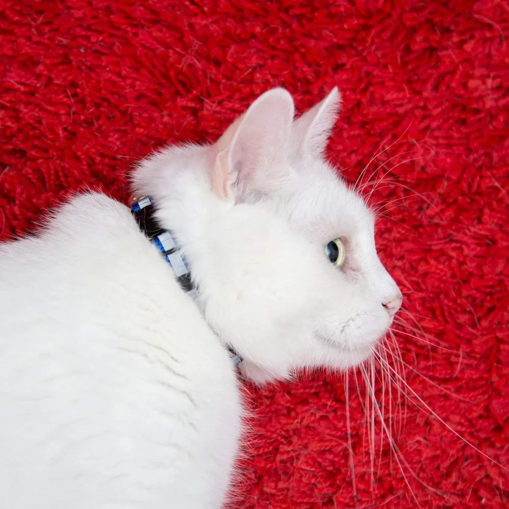 6-Pack Reflective Cat Collars with Bell, Safe Breakaway Nylon, Mixed Colors, Ideal for Cats, Includes Charms.