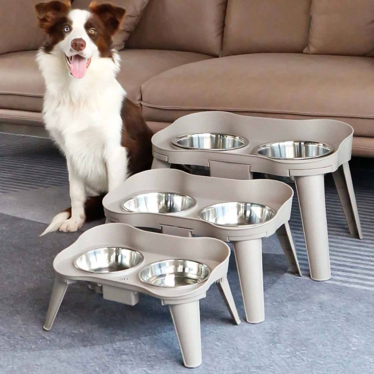 Raised Stand Elevated Dog Feeder Non-Slip and No Spill Design, Suitable for Improve Posture and Comfort