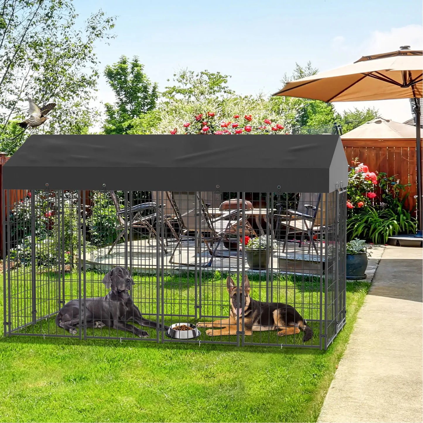 Outdoor Kennels - 3 Sizes