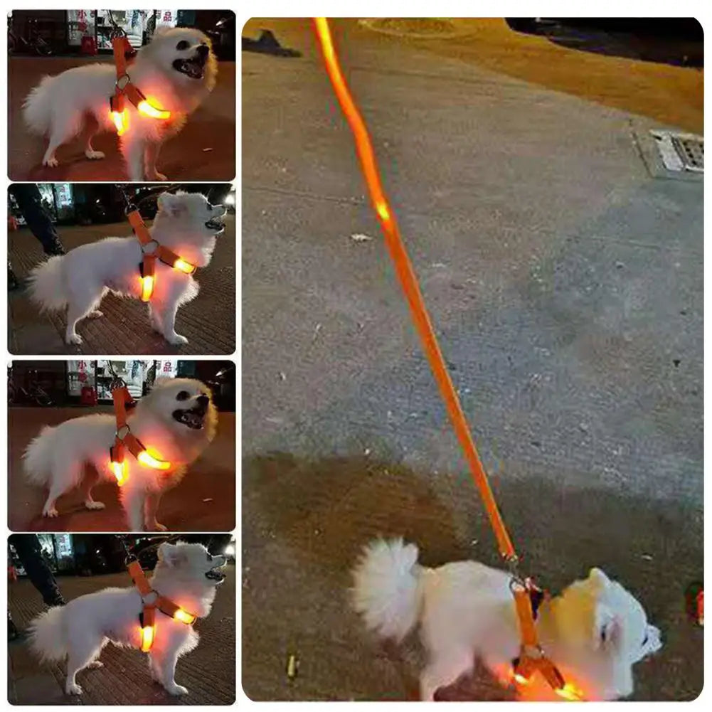 Adjustable LED Pet Harness USB Rechargeable Light Up Dog Harness