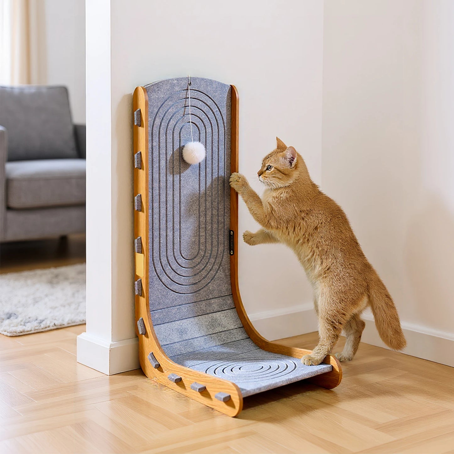 Cat Scratching Board