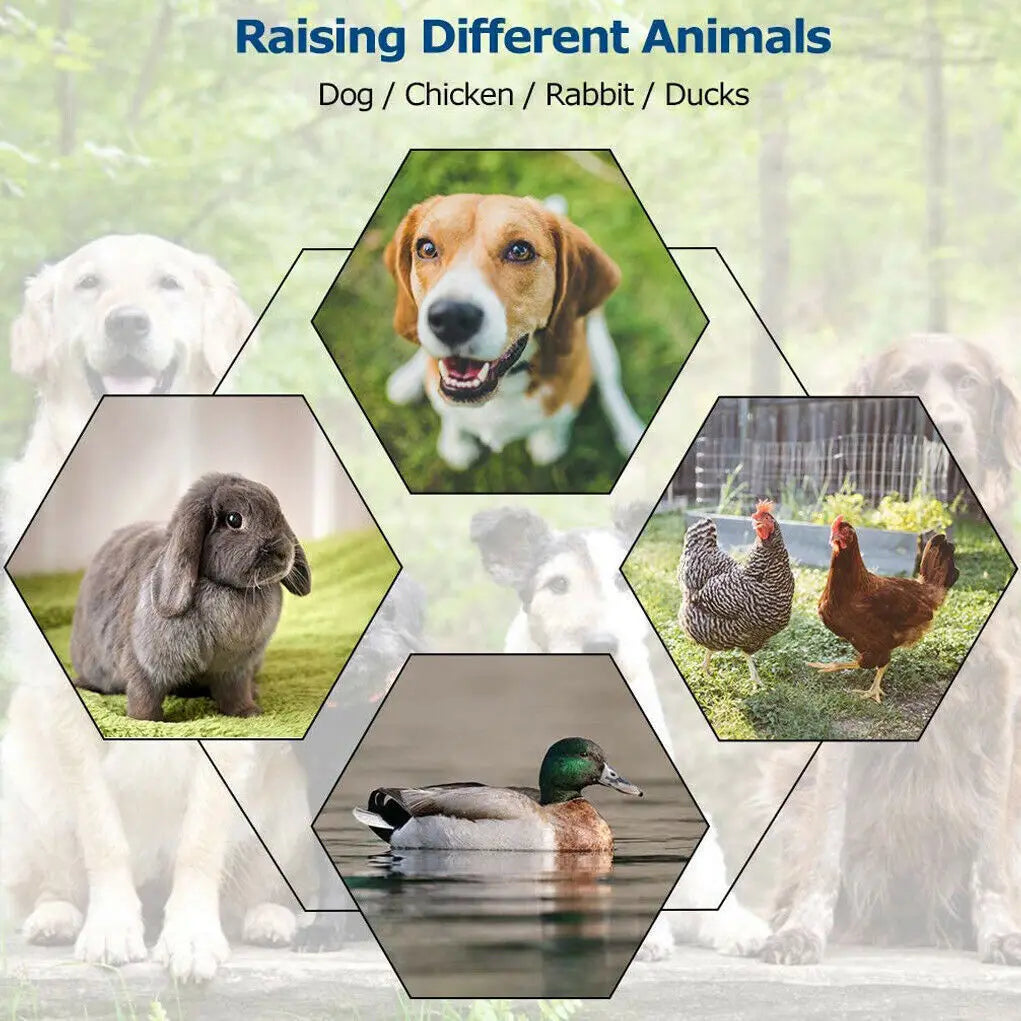 Outdoor Kennels - 3 Sizes