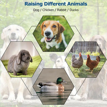 Outdoor Kennels - 3 Sizes