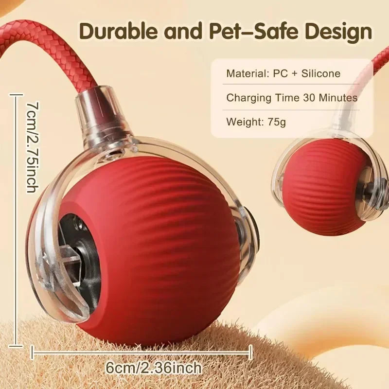 Cat Interactive Ball Toy
